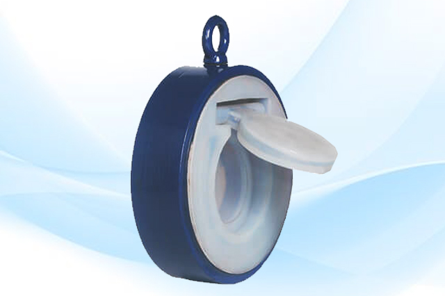 lined-swing-check-valve